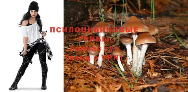 герыч Аркадак