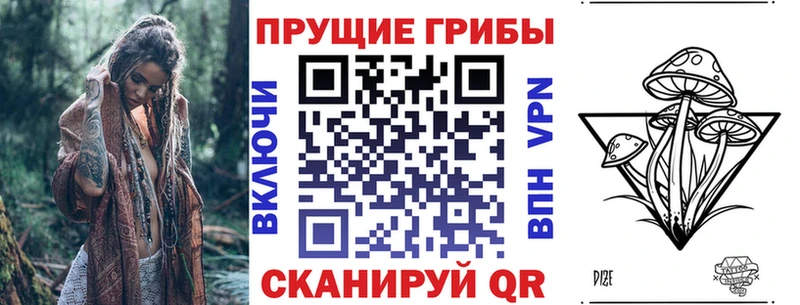 Псилоцибиновые грибы ЛСД Пошехонье